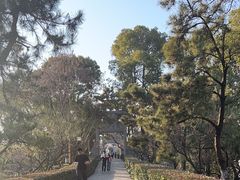 -黄鹤楼