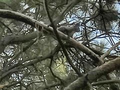 -沈阳辉山风景区