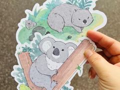 -广州长隆野生动物世界