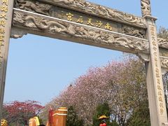 -南沙天后宫景区