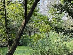 -佛手湖郊野公园