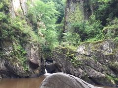-茅兰沟国家森林公园