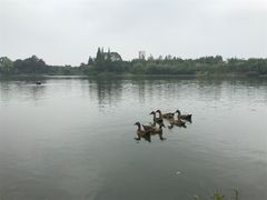 -四川大学(江安校区)