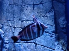 -成都浩海立方海洋公园