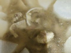 -黔蘑菇四季餐厅(观山湖店)