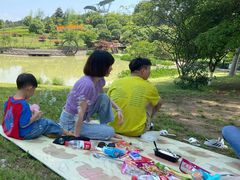 -铁山坪森林公园