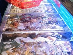 -醉御香渔家园(临沂路与大连路店)