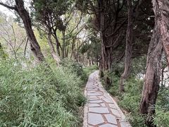 -嘉定紫藤园
