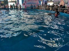 -海合安武汉极地海洋公园
