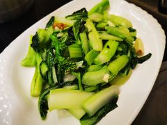 猪油渣菜心-美极鲜食坊(宝安南路店)