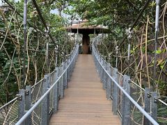 -新加坡飞禽公园