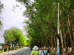 -丁香湖公园
