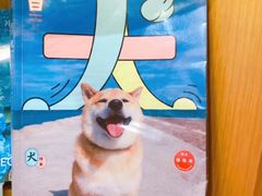 -新华文创·光的空间