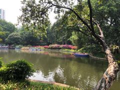 -晓港公园