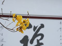 -光孝寺