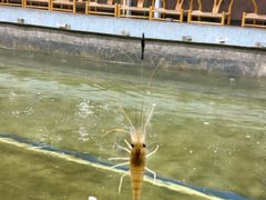 -光头佬室内钓虾场·烧烤·团建·亲子(中山八路店)