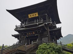 -大唐贡茶院