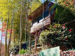 -宁波浙东大竹海景区