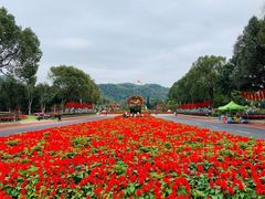 -东南花都花博园