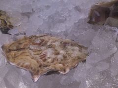 -Oyster Talks 四度蚝法餐厅