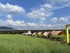 -光明小镇欢乐田园