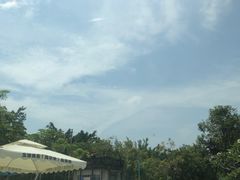 -候鸟水榕庄度假酒店