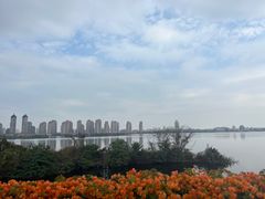 -厦门园林博览苑