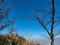-紫金山山顶公园