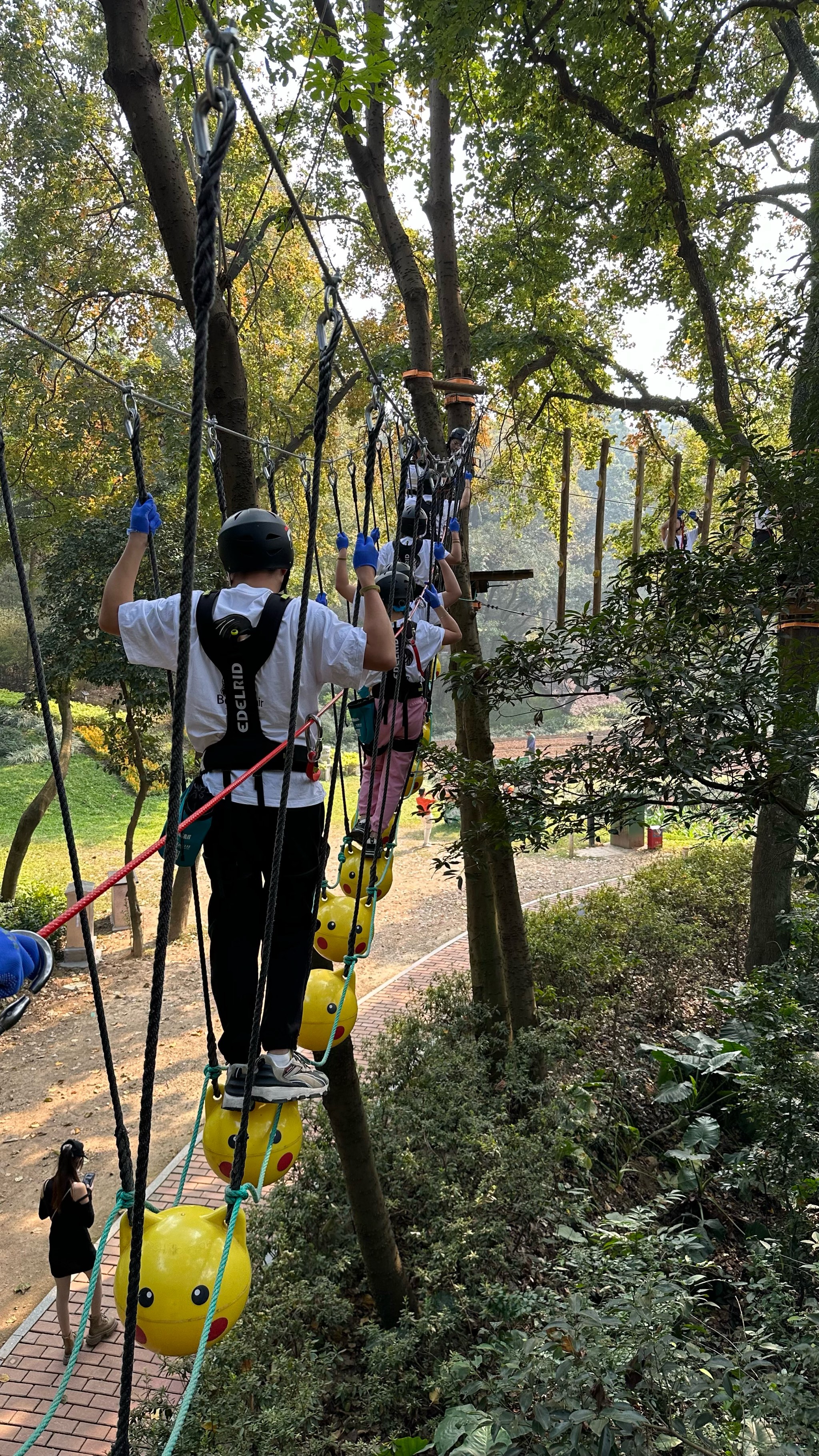 琅琊山飞越丛林项目图片