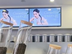 -雾与山茶(大禹城店)