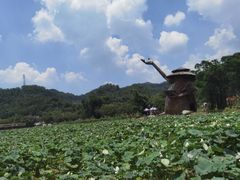 -红山村
