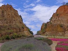 -彩色沙林风景区