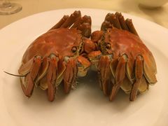 -王宝和酒家(黄浦店)