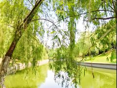 -四里河滨水生态公园