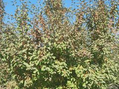 -春晖园度假酒店温泉