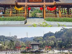 -广西壮族自治区药用植物园