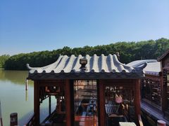-大湾区中央湿地公园