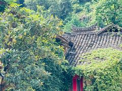 -杨家堂村