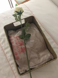 -OAE日式皮肤管理お肌の