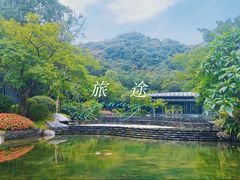 -云溪植物园