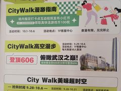 -武汉绿地中心
