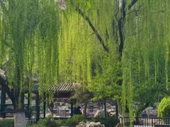 -宣武艺园