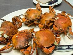 -越百海海鲜蒸锅(乐山店)