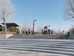 -马家湾湿地公园