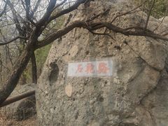 -阳台山自然风景区