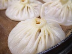 -东京包子楼(政七街店)