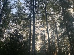 -峡谷浮石林景区