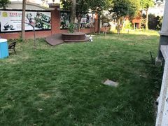 -翊宠yipet猫狗购宠庄园犬舍•猫舍