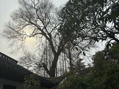 -何园