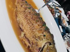 黄河大鲤鱼-金狮麟·新豫菜(金码大厦店)